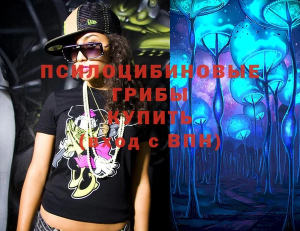 герыч Алексин