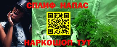 гашик Новодвинск