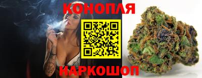 гашик Новодвинск
