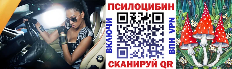 Псилоцибиновые грибы Psilocybe  дарк нет официальный сайт  Черемхово  магазин продажи  