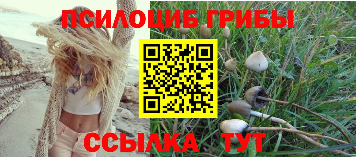 Черемхово  Псилоцибиновые грибы Magic Shrooms  Вход с VPN 